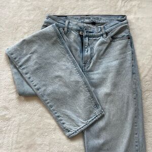 American Eagle Outfitters Light Blue Denim Mom Jeans